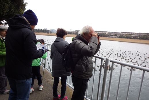 Observation Walking(autumn)