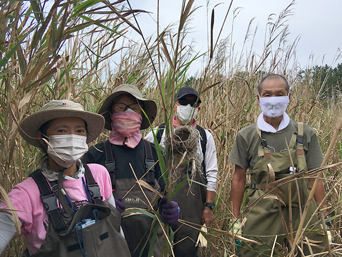 Great Reed Warbler Study Group