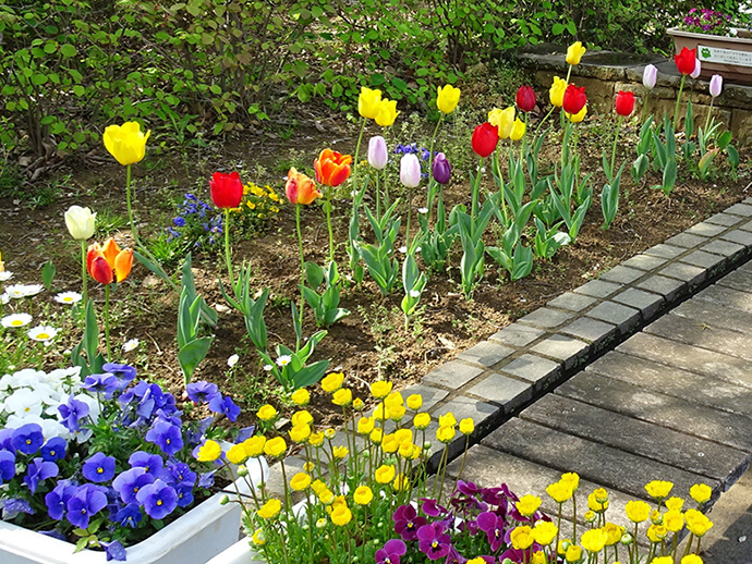 Gardening Group