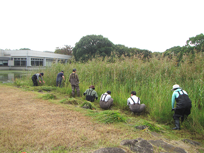 Freshwater Pond Management