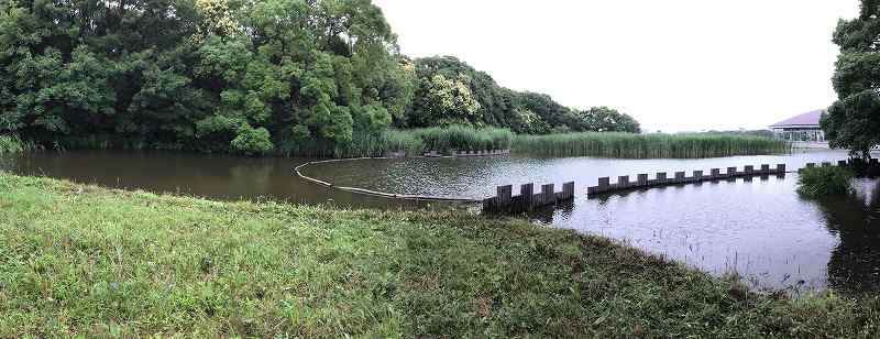 Freshwater Pond Management