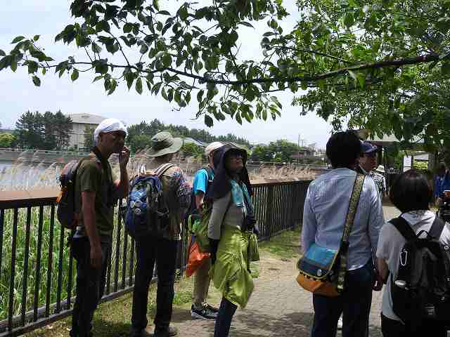 Observing Yatsu-higata outside the Center