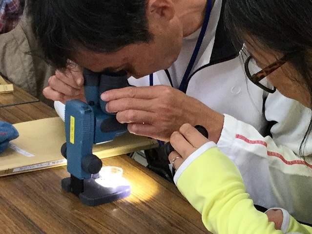 Observing the collected plankton through the microscope