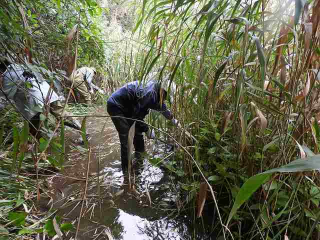 Weeding is a very enjoyable exercise