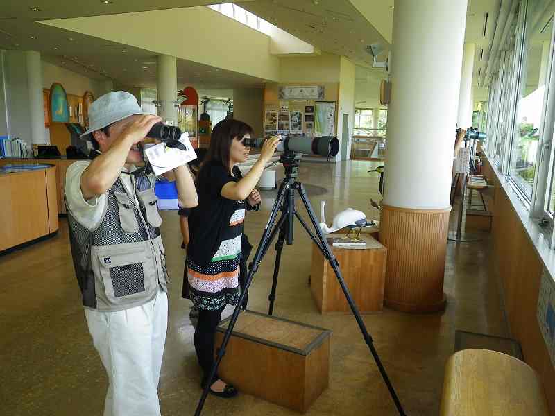 Guiding the visitors