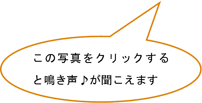 クリック